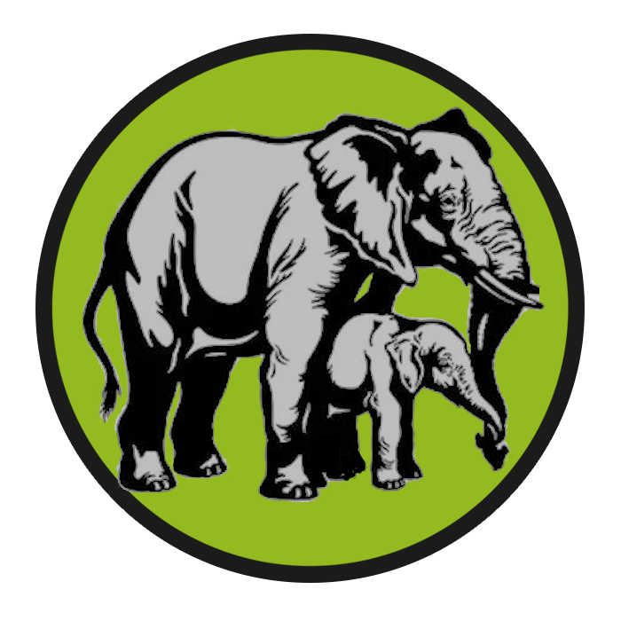 Elephant Matriarch Project